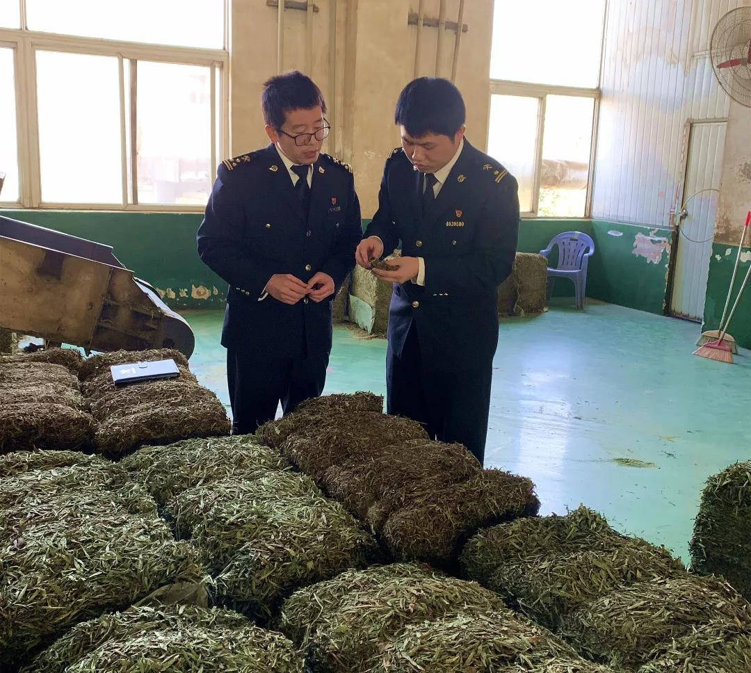 穩外貿在身邊 | 政策落到實處，百姓甜到心里